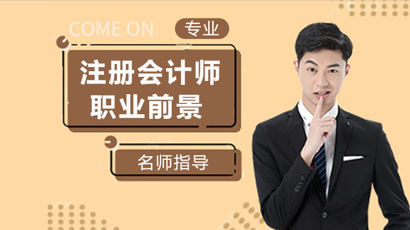 CPA持证人职业发展全景解析：核心价值、方向与薪资待遇深度指南