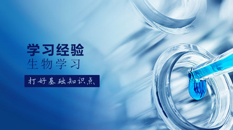 生物学科高效提分指南：5大核心策略从基础到进阶全解析