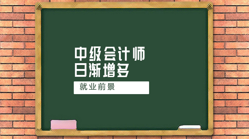 中级会计师报考热度攀升背后：职业价值与发展空间深度解析