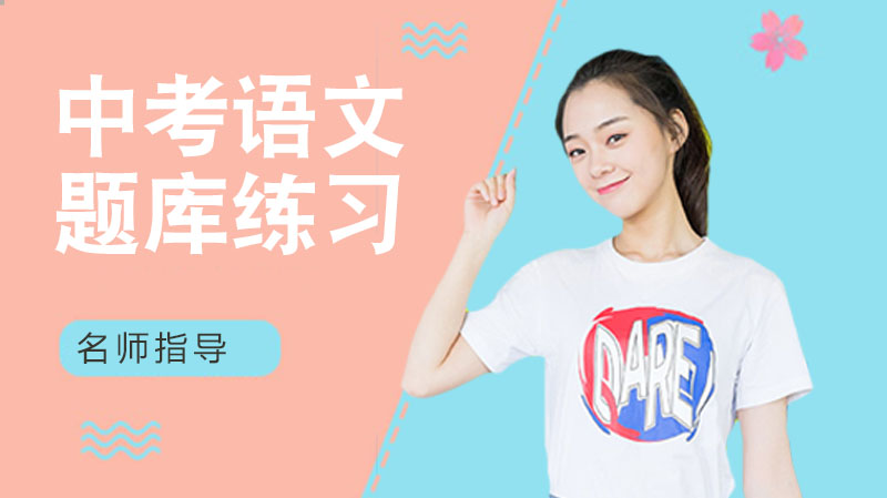 初中语文九年级下辅导资料实用指南：同步训练+解题技巧全解析