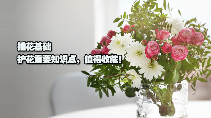 插花基础|护花重要知识点,值得收藏!