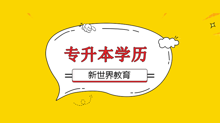 北京专升本英语提分必看：真题词汇训练营两期课程深度解析