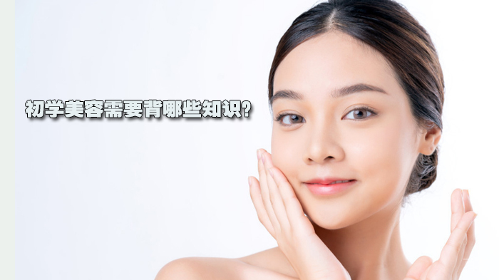初学美容需要背哪些知识?