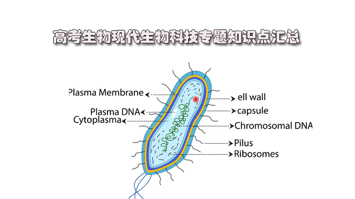 高考生物现代生物科技专题核心考点全解析（附重点梳理）
