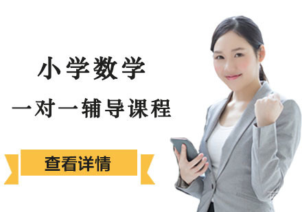 小学生数学能力提升方案:专属定制辅导计划