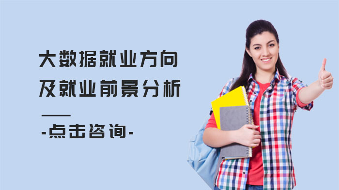 大数据人才职业地图：岗位选择与行业发展深度解析