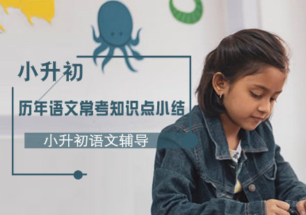 历年小升初语文常考知识点小结