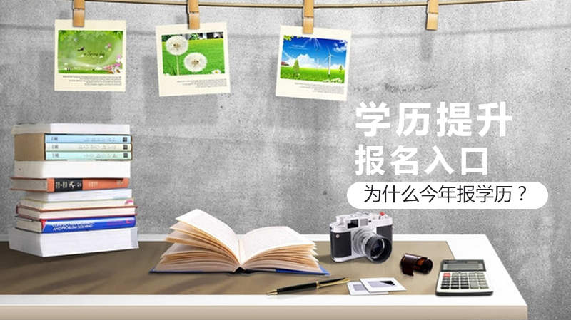 2024学历提升报考指南：今年为何是关键时间窗口