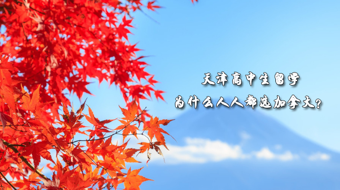 天津高中生留学加拿大热的背后：四大核心优势与全类型选校指南