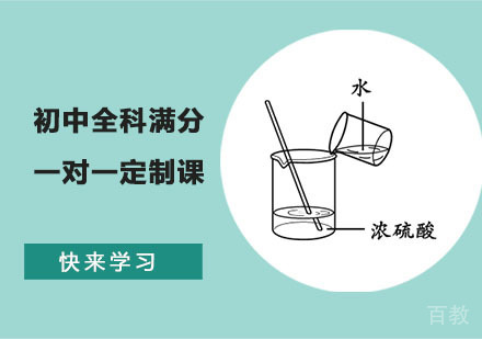 初中全科满分一对一定制课