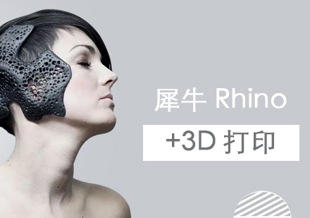 上海作品集辅导犀牛Rhino+3D打印