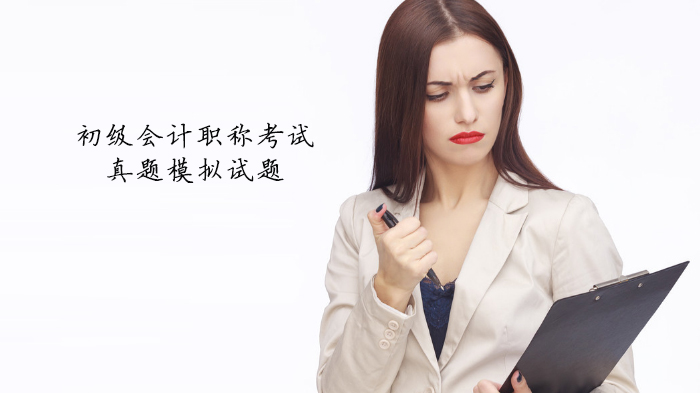 初级会计职称考试核心税种真题解析（含模拟试题及答案详解）