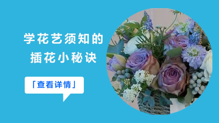 武汉花艺培训学校亲授：零基础学插花的5大核心技巧与避坑指南