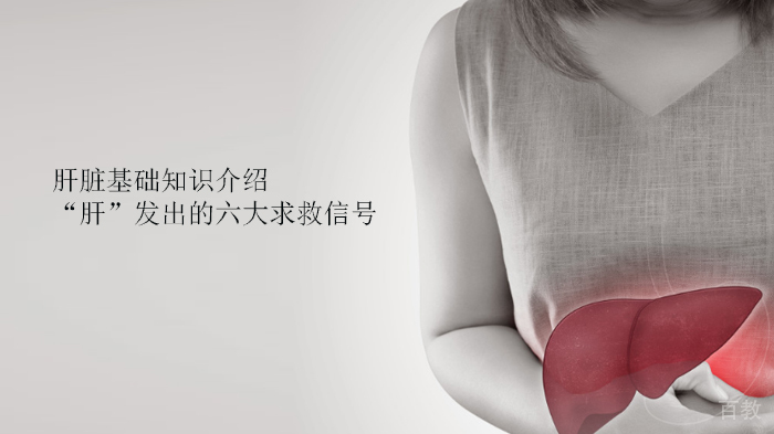肝脏基础知识介绍:“肝”发出的六大求救信号
