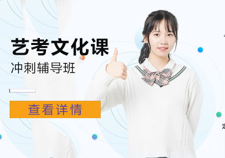 艺考文化课冲刺辅导班