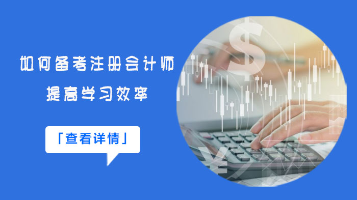 注会高效通关攻略：重点章节深度解析与学习效率提升指南
