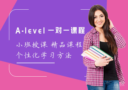 A-level一对一课程
