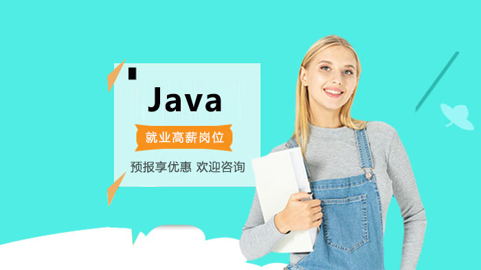 Java开发者高薪方向全解析：六大主流领域深度解读