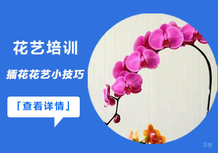 插花花艺小技巧-合肥花艺培训