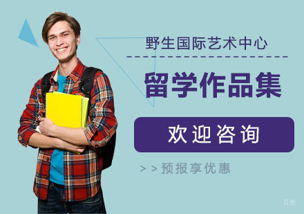 上海野生国际艺术中心_上海留学作品集培训班