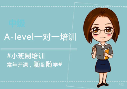 上海A-level一对一培训
