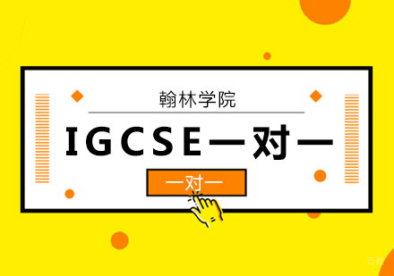 北京IGCSE一对一培训班