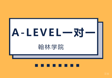北京A-LEVEL一对一培训班