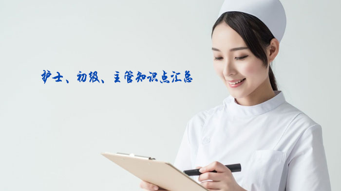 护士/初级/主管护师核心考点全解析（2024版）