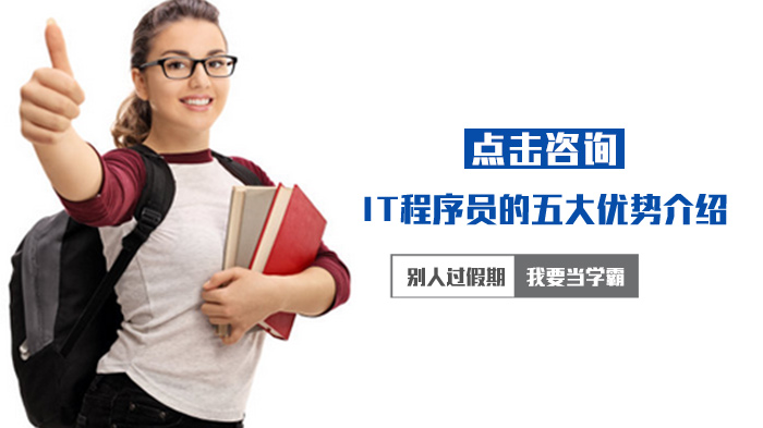 IT程序员职业发展的五大核心优势深度解析