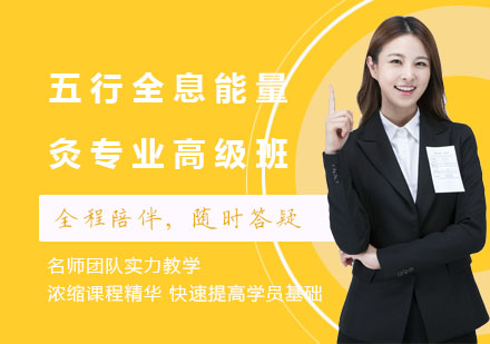 五行全息能量灸专业高级班