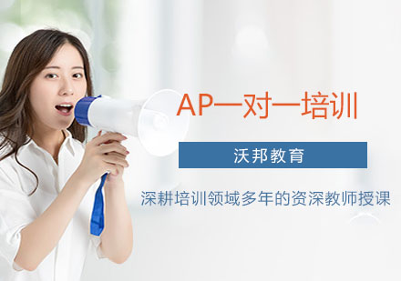 上海AP一对一培训