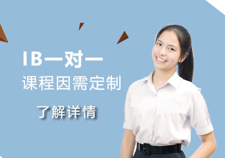 上海IB课程IB一对一辅导班