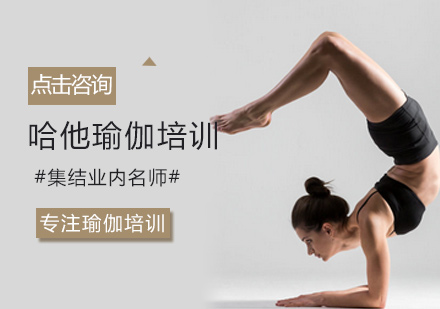 哈他瑜伽培训