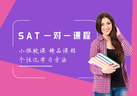 上海SATSAT一对一课程