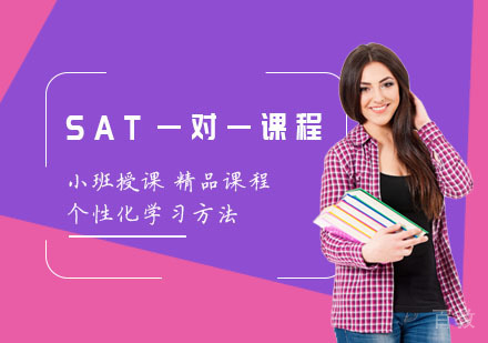上海SAT一对一课程