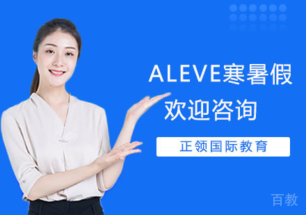 上海ALEVE寒暑假培训
