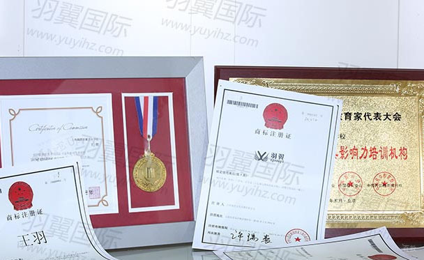 上海羽翼国际艺术学校获奖牌