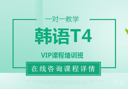 韩语T4 VIP课程培训班