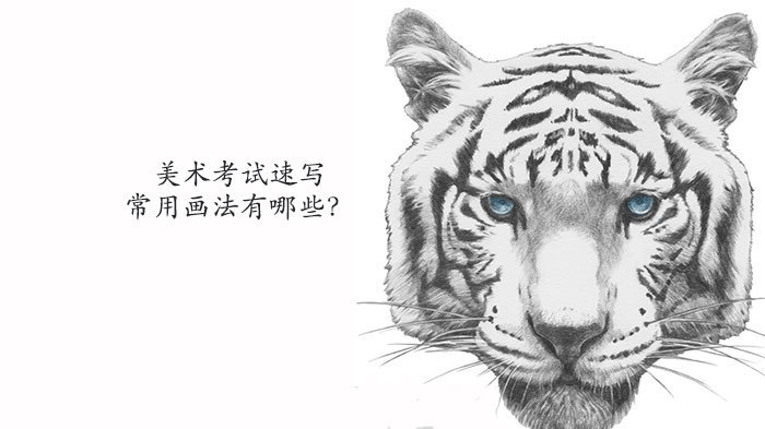 美术考试速写常用画法有哪些?