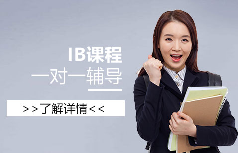 上海IB课程一对一辅导