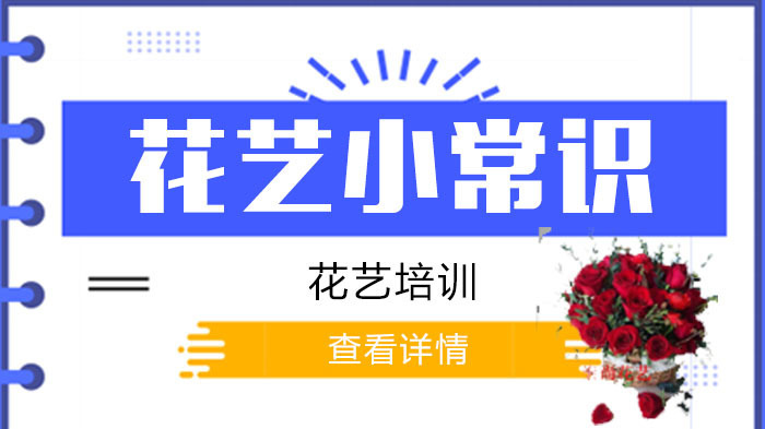 花艺小常识