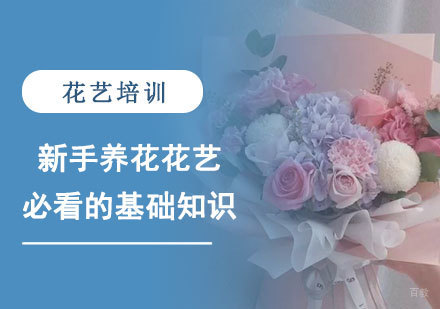新手养花花艺必看的基础知识