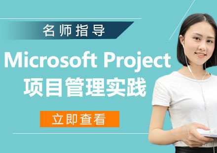 Microsoft Project项目管理实践