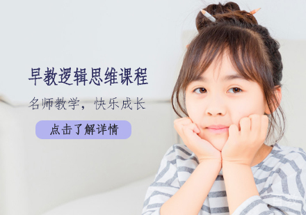 早教逻辑思维课程