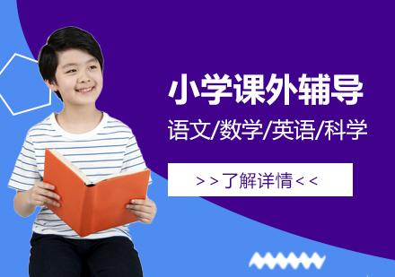 小学各年级课外辅导