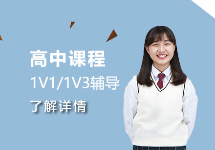 高中课程一对一/一对三辅导
