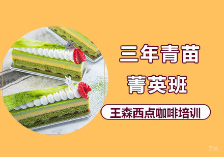 北京三年青苗菁英培训班