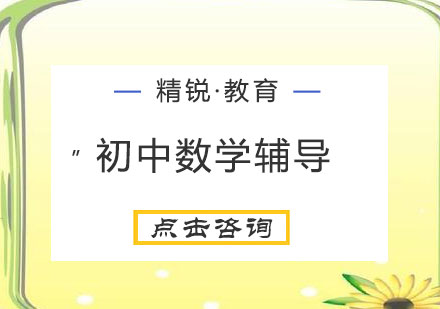 初中数学1对1辅导