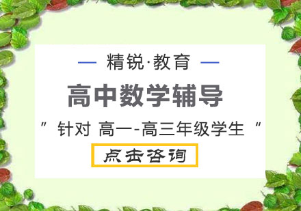高中数学1对1辅导