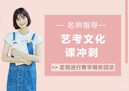 天津艺考文化课冲刺